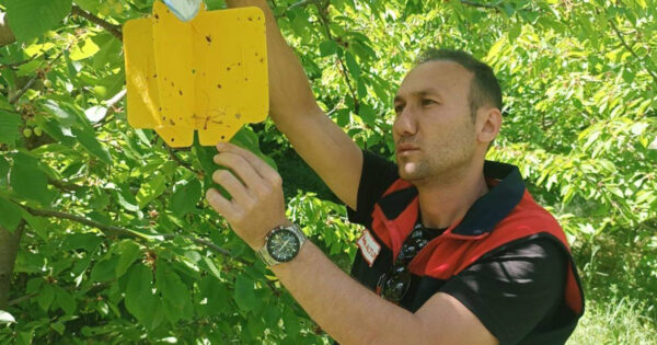 Denizli’de güvenli ve bilinçli üretim için saha çalışmaları sürüyor