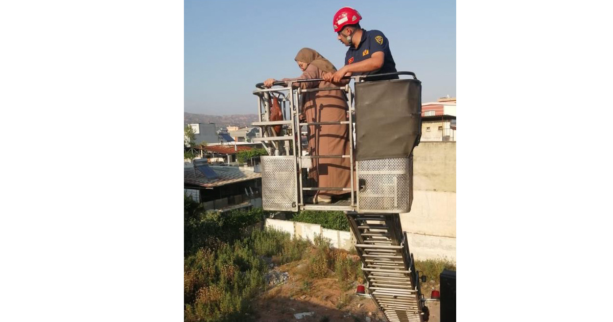 Asansörde mahsur kalan yaşlı kadın kendini kurtarıldı