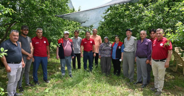 Buldan’da meyve bahçeleri yerinde incelendi