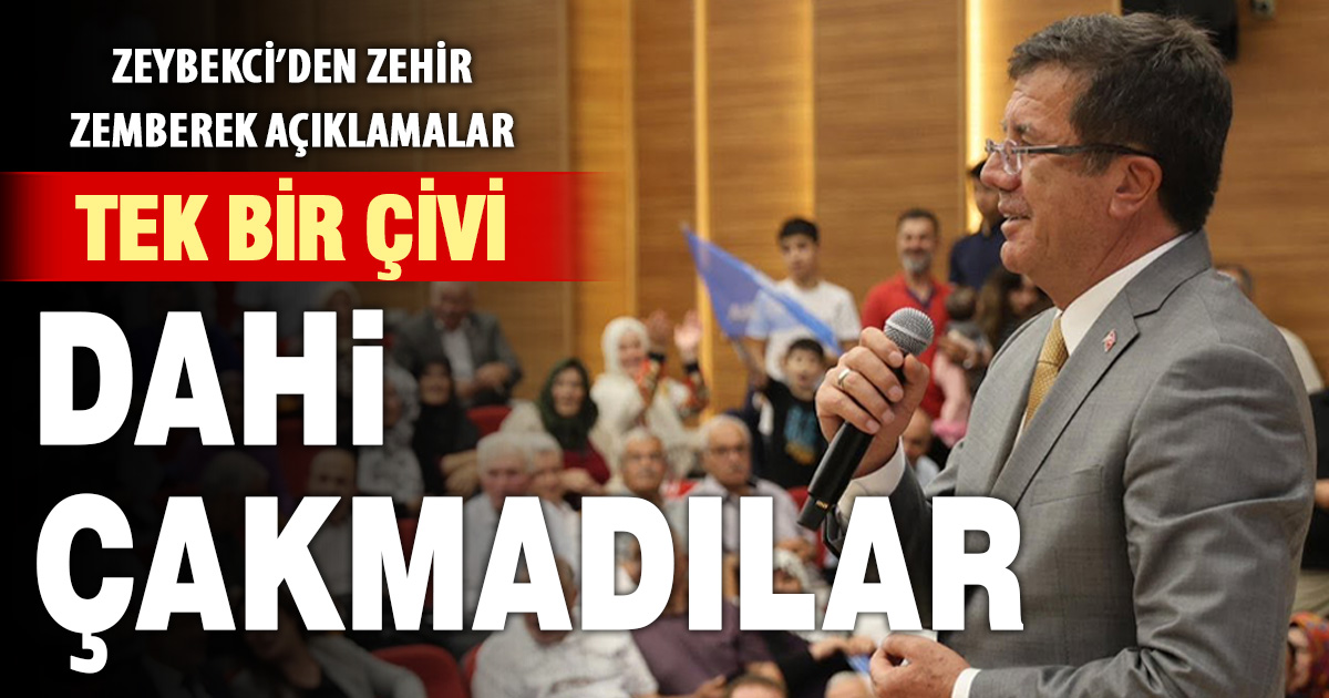 Nihat Zeybekci: Şimdiye kadar bir tek çivi bile çakmadılar