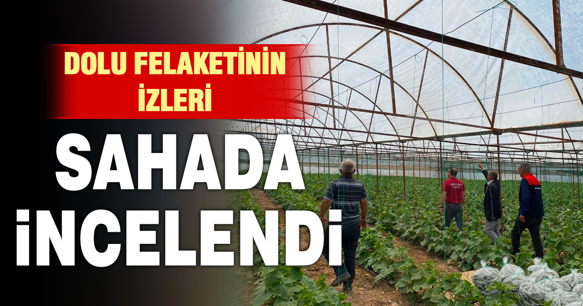 Dolu zararının ardından inceleme