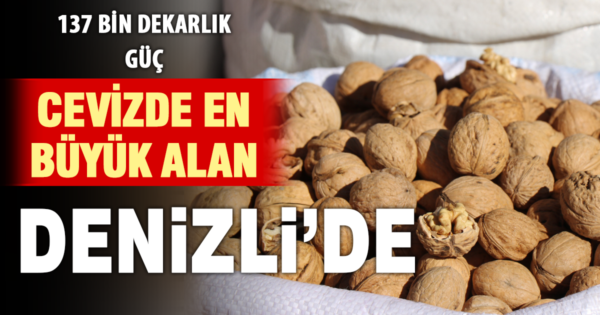 Denizli ceviz üretiminde Türkiye birincisi oldu