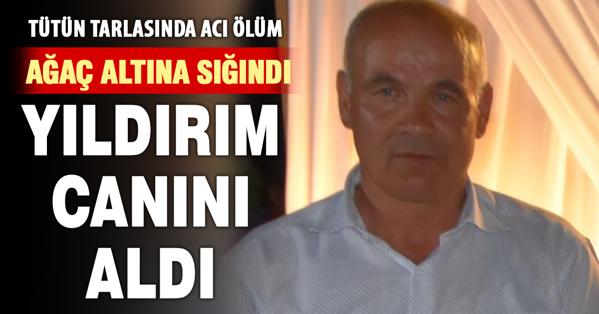 Sığındığı ağaca yıldırım düşen çiftçi hayatını kaybetti 