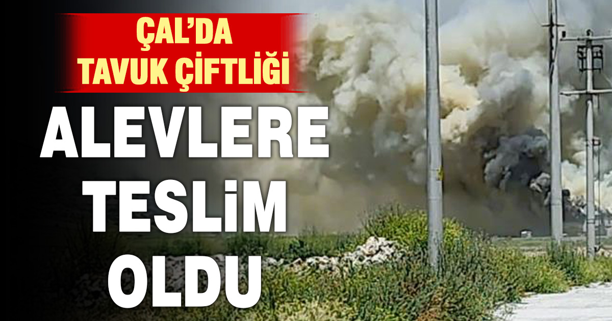 Tavuk çiftliği alevlere teslim oldu