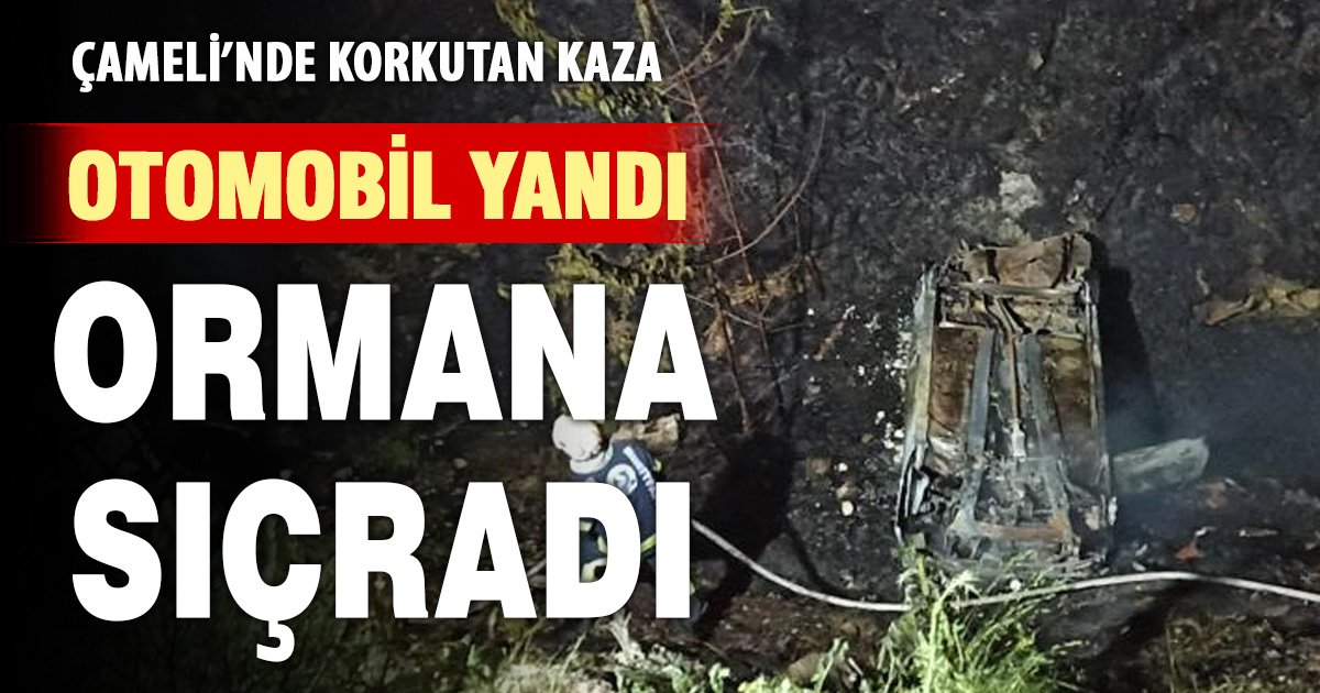 Şarampole yuvarlanan otomobil orman yangınına neden oldu