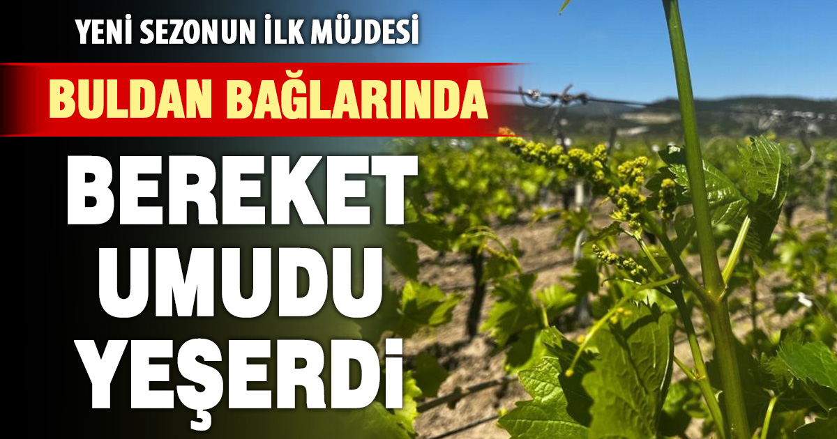 Buldan’da asmalar uyandı, bereketli sezon beklentisi arttı 