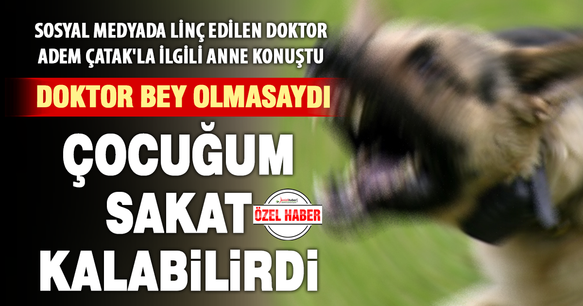 Köpek saldırısında müdahale eden doktor için anne: “Hayat kurtardı”