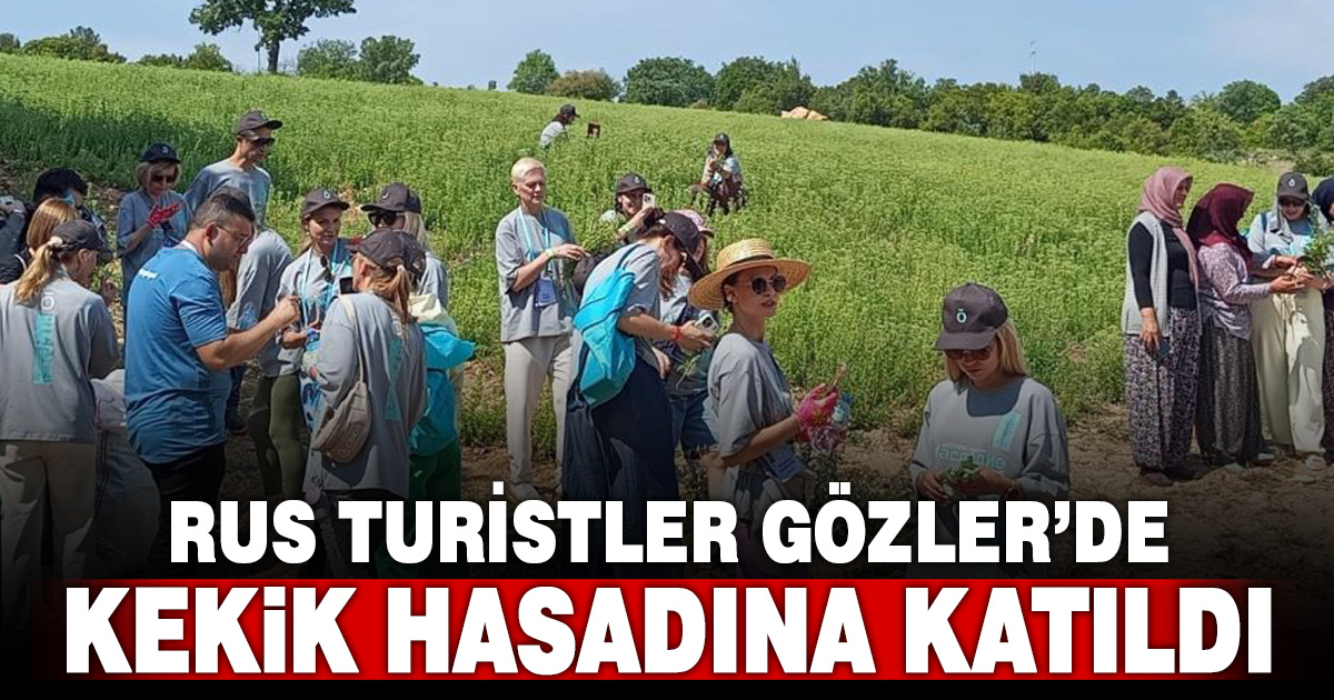 Ruslar, Gözler’de kekik hasadı yaptı