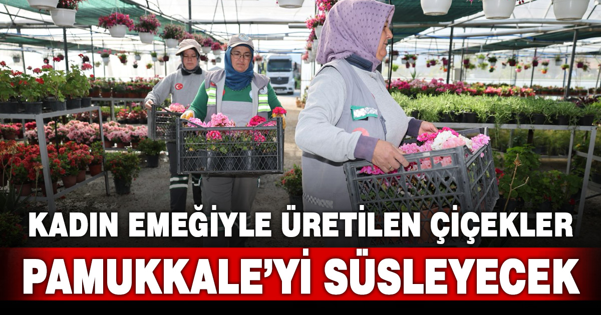PAMUKKALE BELEDİYESİ ÜRETİYOR, PAMUKKALE KENDİ ÇİÇEĞİYLE GÜZELLEŞİYOR