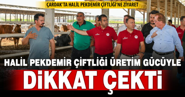Hayvancılık faaliyetleri yerinde incelendi