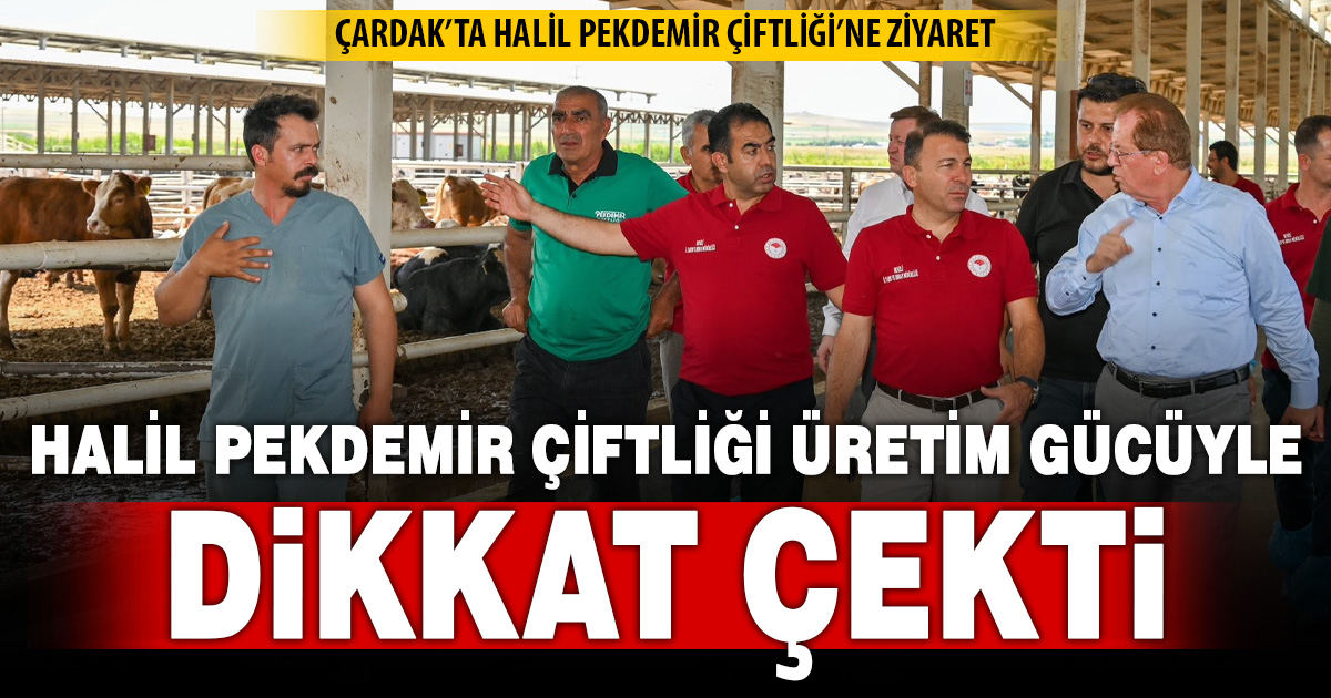 Hayvancılık faaliyetleri yerinde incelendi