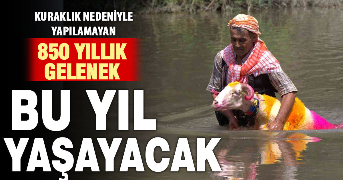 Kuraklık nedeniyle yapılamayan sudan koyun geçirme yarışmaları bu yıl yapılacak