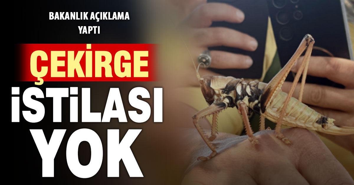 “Çekirge istilası” iddiasına bakanlıktan yalanlama