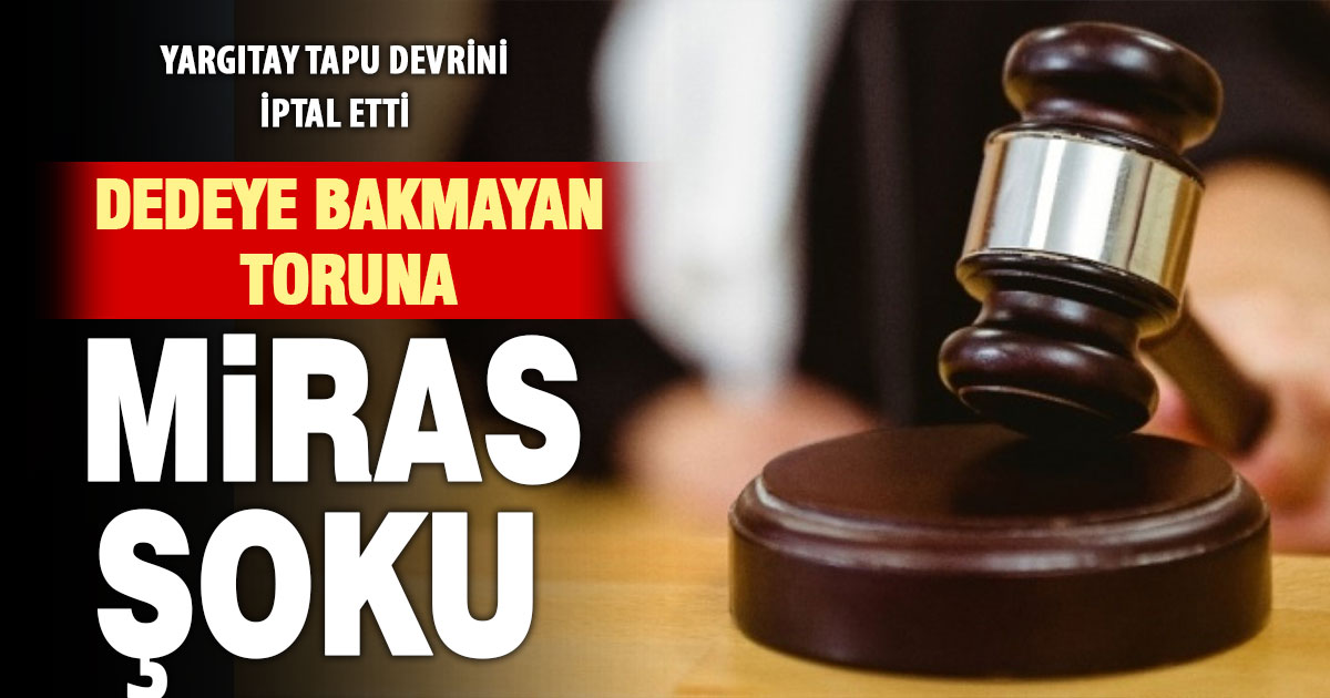 Arsayı alınca dedesine bakmayı bıraktı, Yargıtay şoku yaşattı
