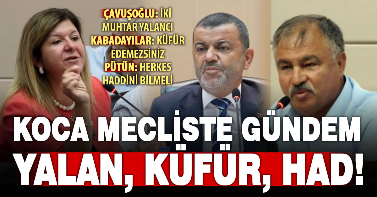 Çavuşoğlu küfür etti-etmedi tartışması meclisin gündemini doldurdu