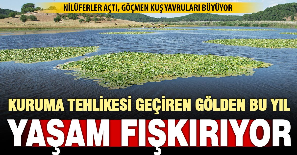 Kuruma noktasına gelen Süleymanlı Yayla Gölü yeniden hayat buldu