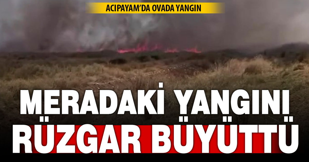 Merada çıkan yangın rüzgarın etkisiyle büyüdü  