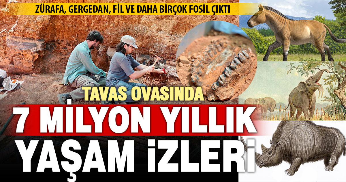 Kayaca’da 7 milyon yıllık yaşamın izleri gün yüzüne çıkıyor