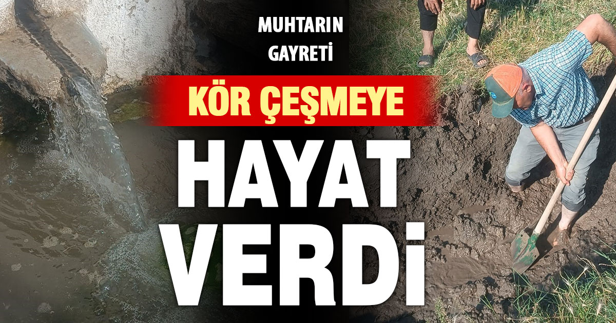 Muhtarın çabasıyla kör çeşme tekrar akmaya başladı  