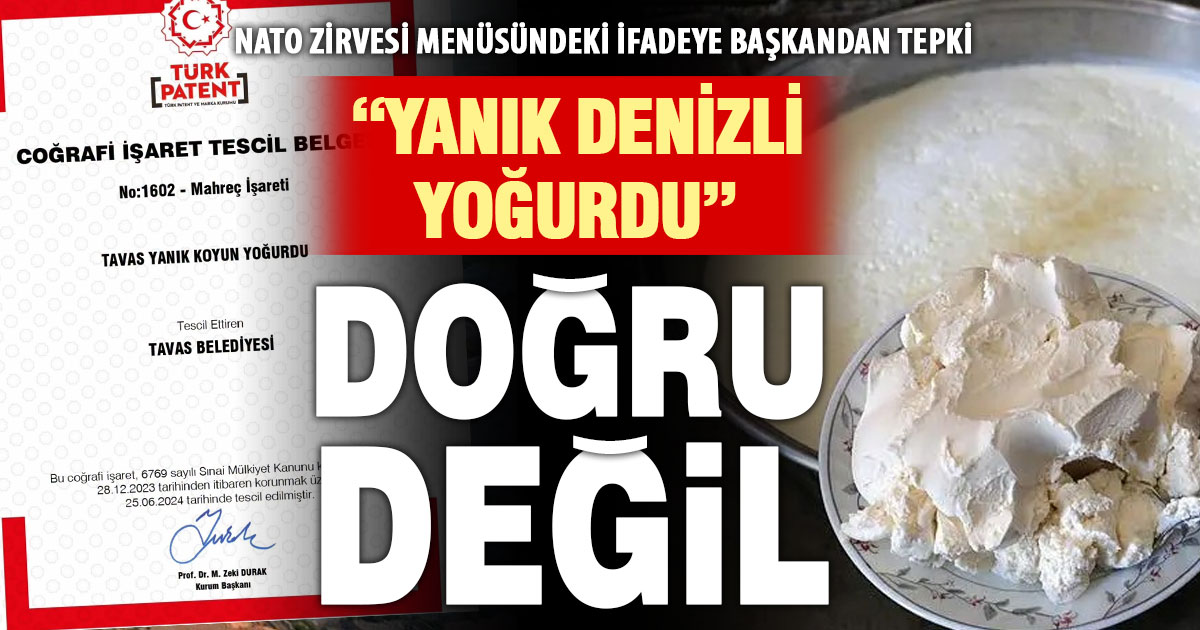 NATO zirvesindeki ‘Yanık Denizli Yoğurdu’ ifadesine başkandan tepki