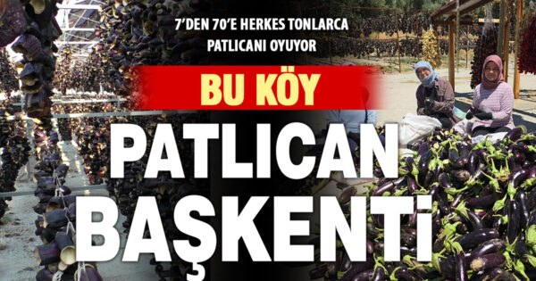 Ege’nin ‘Patlıcan Vadisi’nden tüm dünya sofralarına  