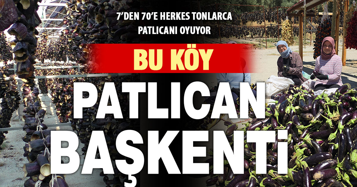 Ege'nin 'Patlıcan Vadisi'nden tüm dünya sofralarına  