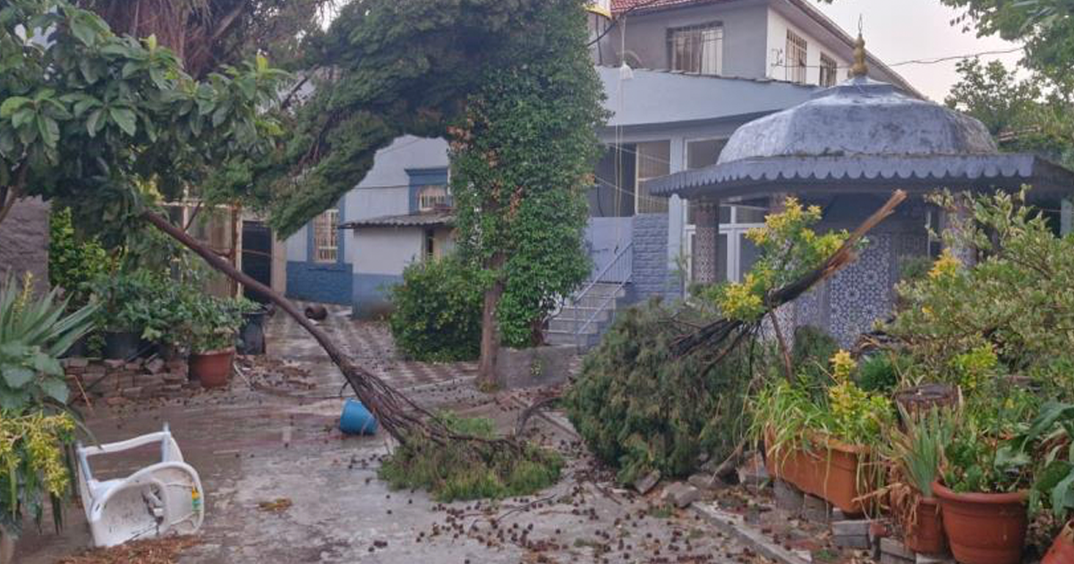 Kırkağaç'ta fırtına hayatı olumsuz etkiledi