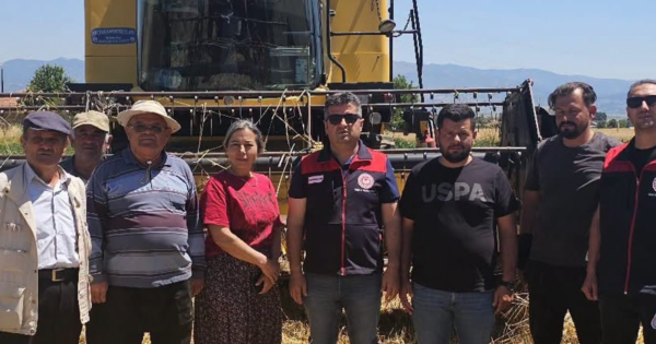 Acıpayam’da hububat hasadı başladı