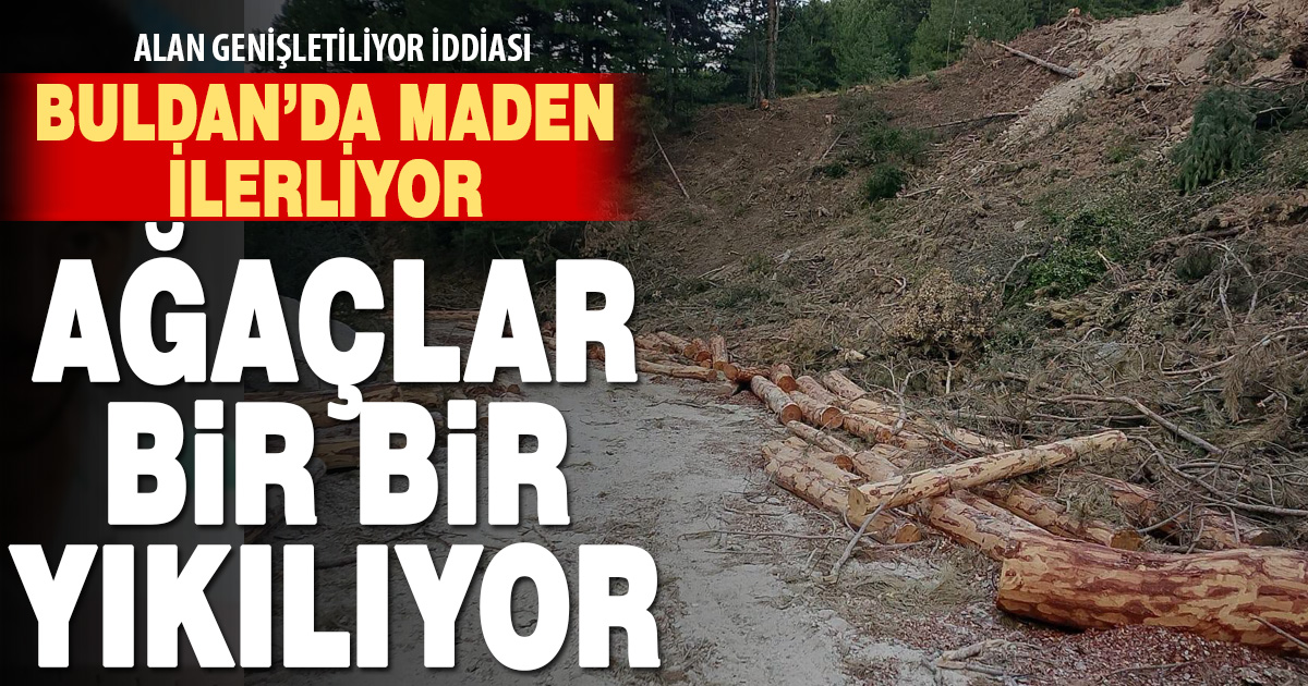 Maden çalışmalarının sürdüğü Buldan'da ağaçlar kesiliyor