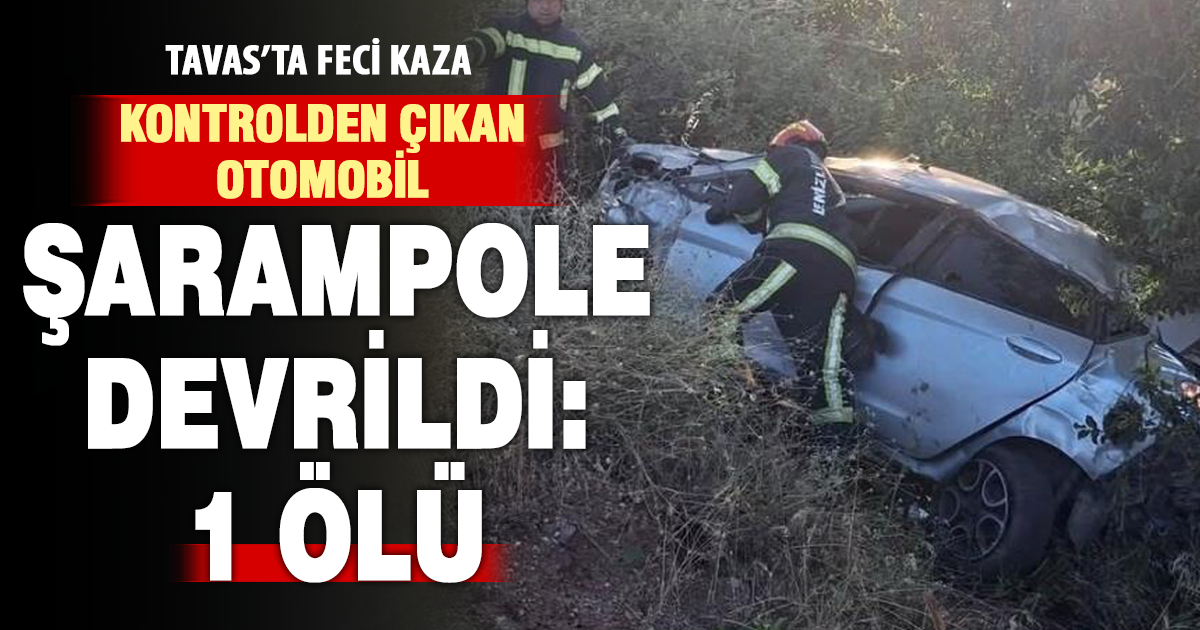 Kontrolden çıkarak şarampole devrilen otomobilin sürücü hayatını kaybetti 