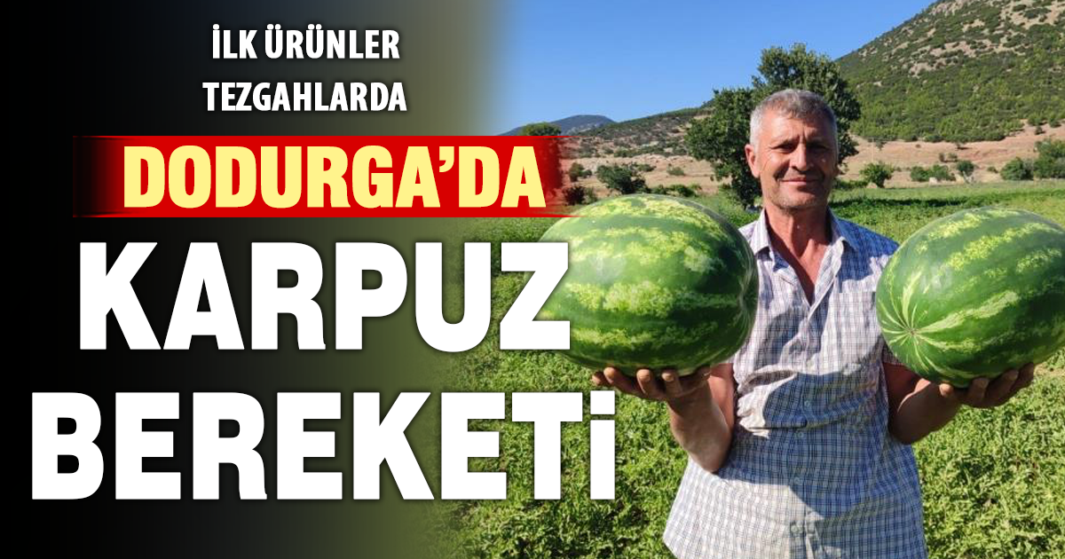 Denizli’nin lezzet simgesi Dodurga Karpuzu tezgâhlara indi 