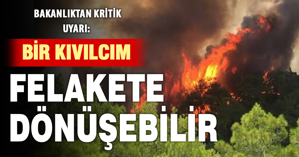 Tarım ve Orman Bakanlığı’ndan şiddetli rüzgar uyarısı: Yeşil Vatan’ı hep birlikte koruyalım
