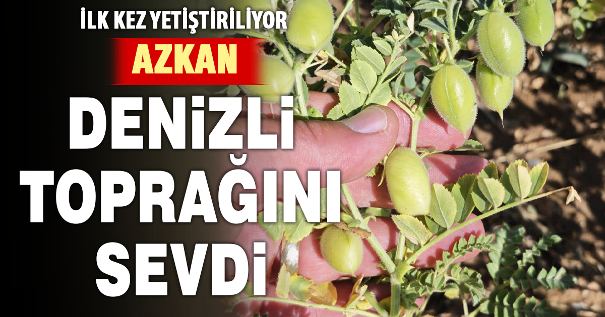AZKAN, Denizli toprağını sevdi