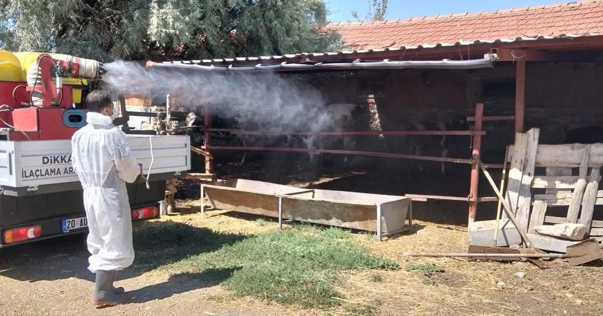 Çardak’ta ilaçlama sürüyor