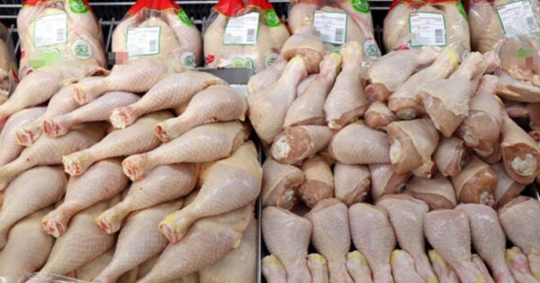 Tavuk eti ve yumurta üretiminde ciddi artış