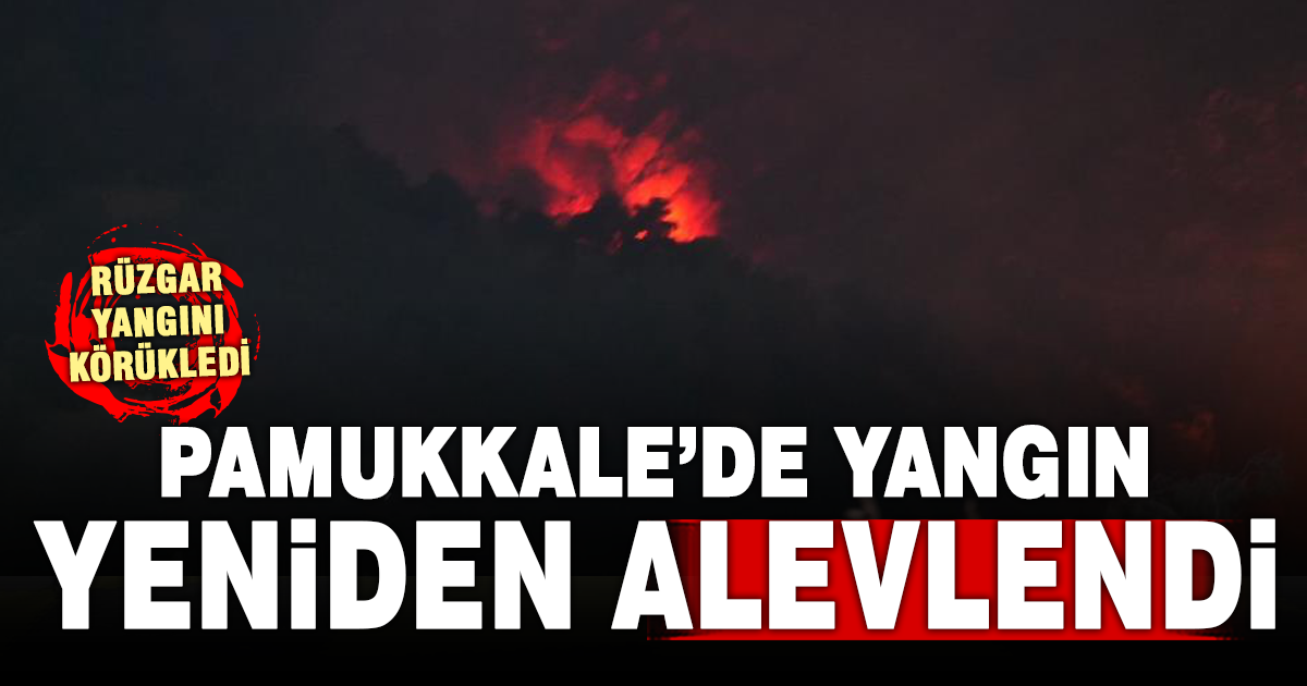 Denizli'deki orman yangını gece saatlerinde rüzgarın etkisiyle tekrardan etkili oldu 