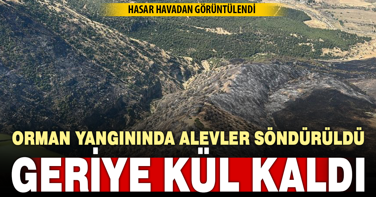 Denizli'de korkutan yangın kontrol altına alındı 