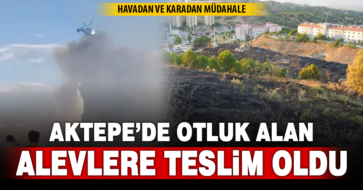 Yerleşim yerine yakın otluk alanda çıkan yangın korkuttu 