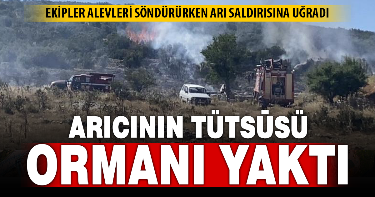 Arıcının tütsüsü ormanı yaktı
