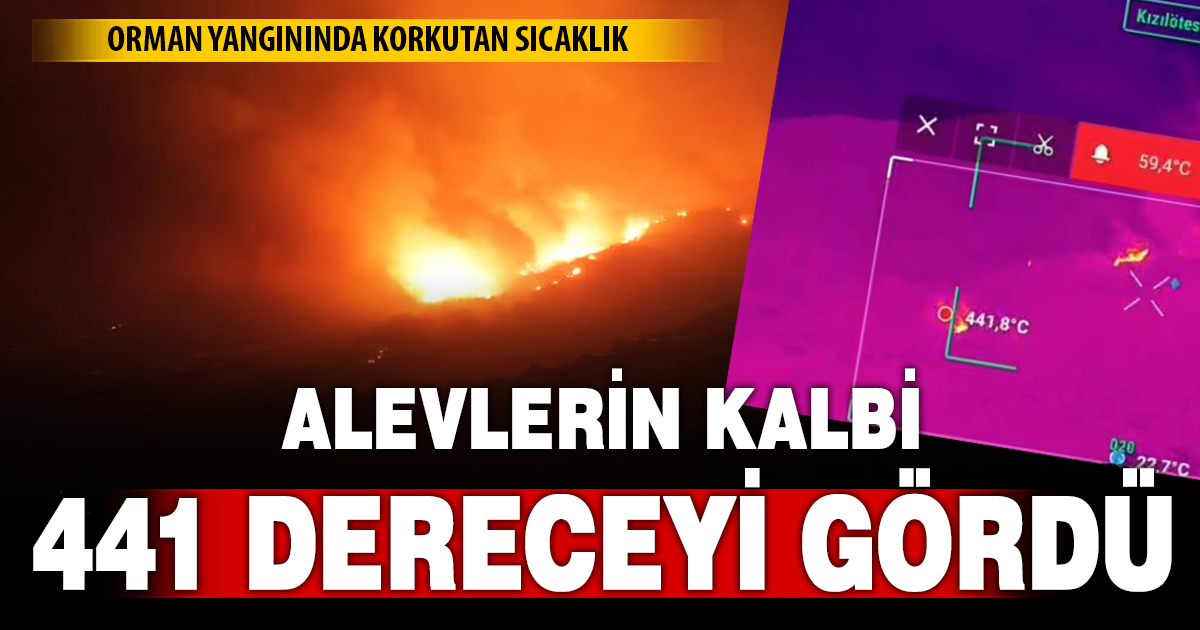 Alevlerin kalbinde sıcaklık 441 dereceye ulaştı