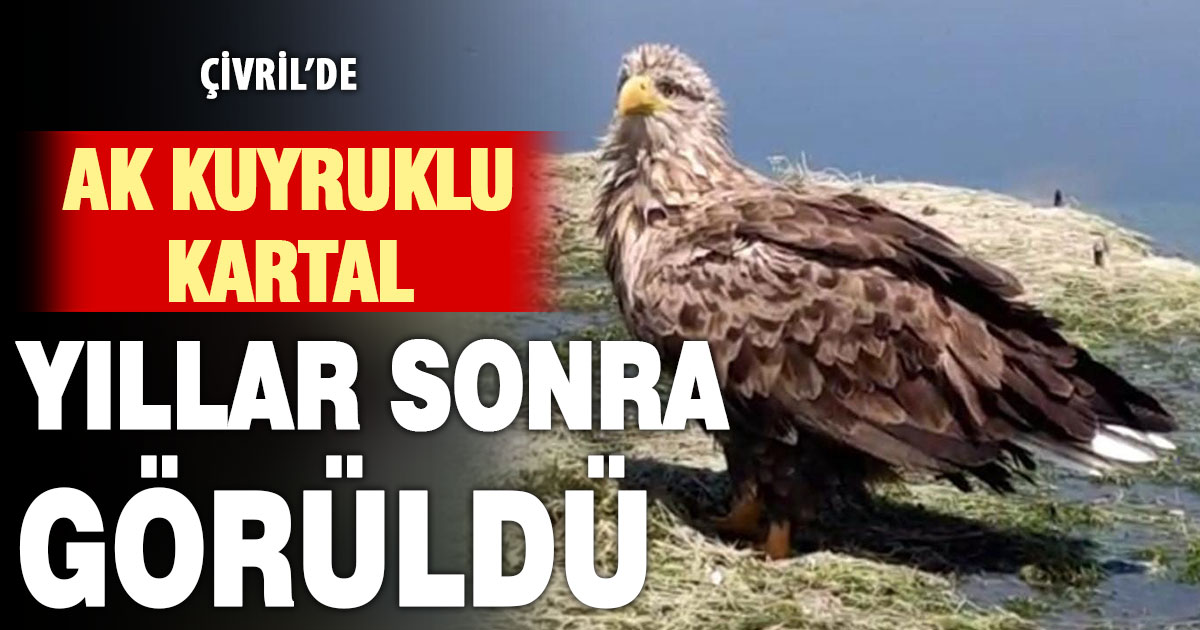 Çivril’de nilüfer turunun sürprizi: Nadir görülen kartal kameraya yakalandı