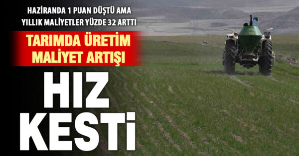 Tarımda girdi maliyetleri haziranda azadı ama yıllık yüzde 32 arttı