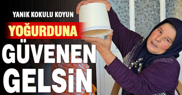 Yanık kokulu koyun yoğurdu yarışması düzenlenecek