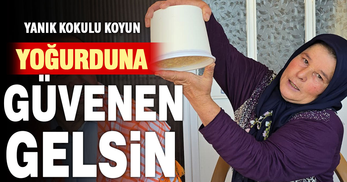 Yanık kokulu koyun yoğurdu yarışması düzenlenecek