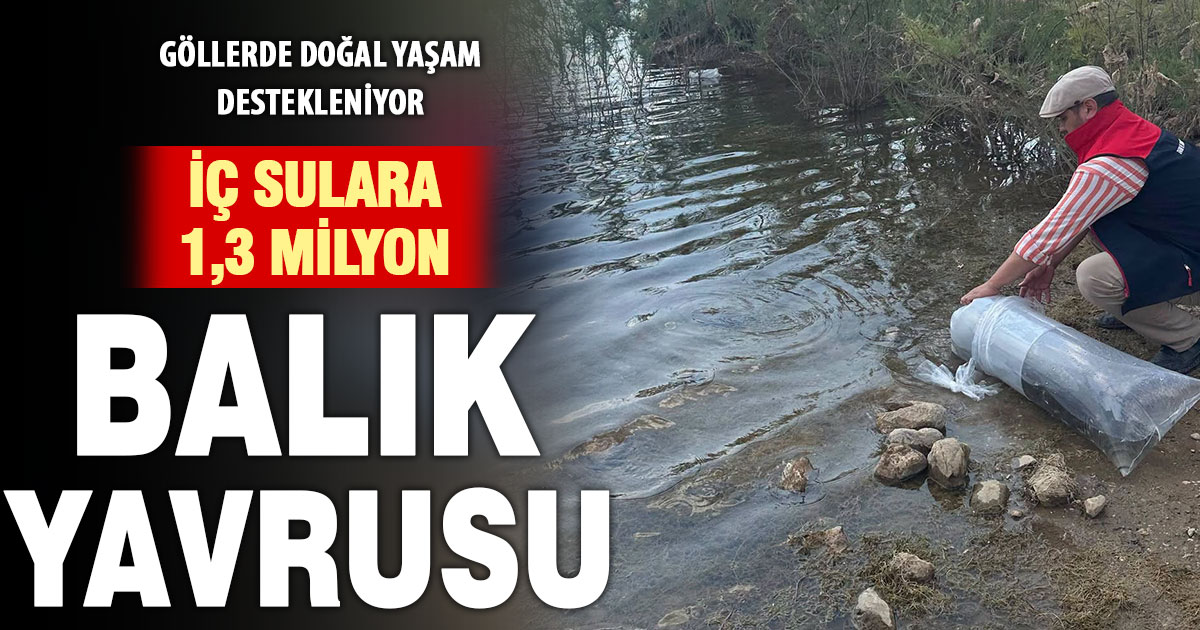 Göl ve göletlere 1,3 milyon balık yavrusu bırakıldı