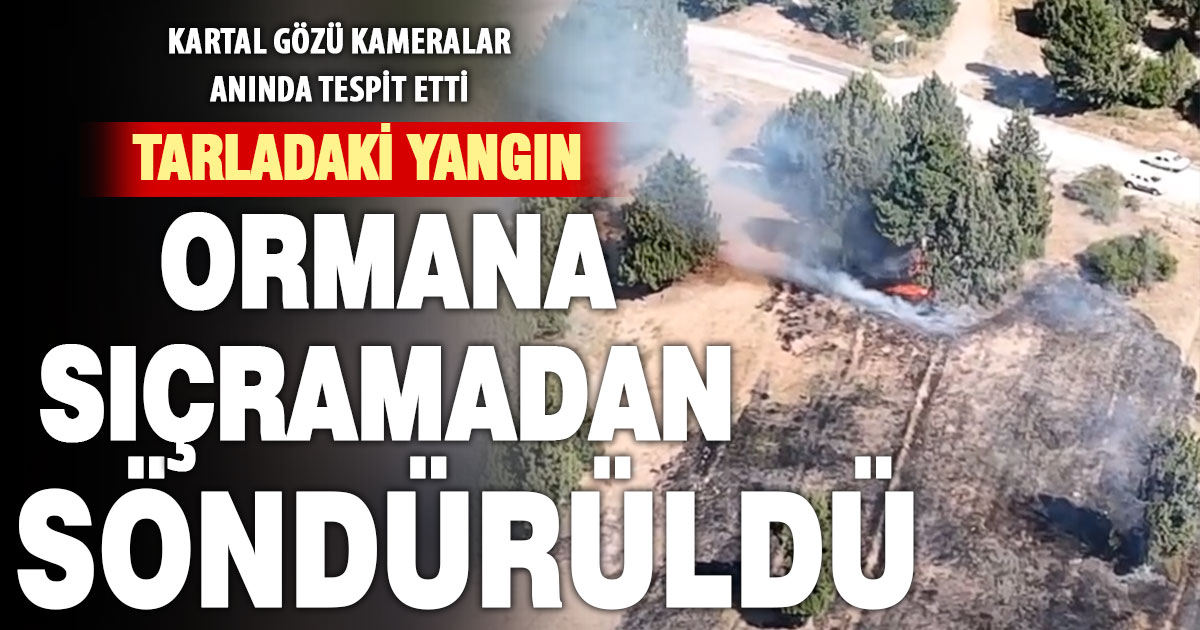 Çameli’nde tarlada başlayan yangın ormana sıçramadan söndürüldü