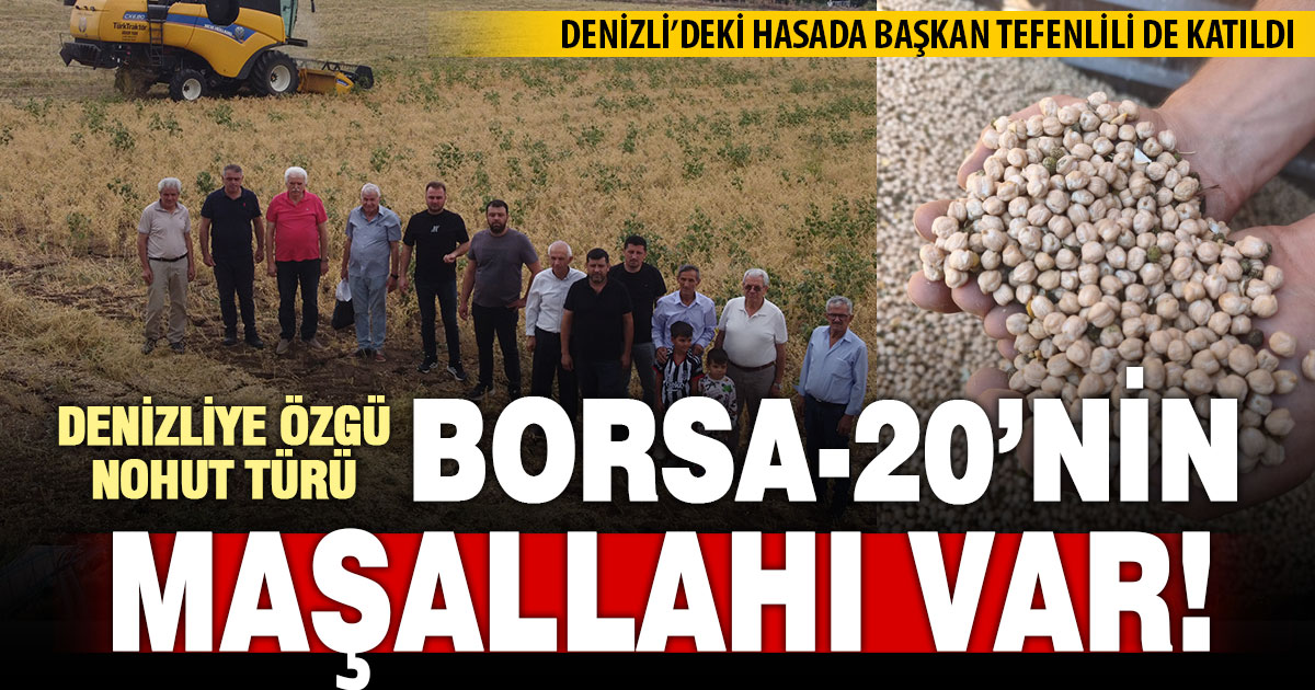 Yerli çeşit Borsa-20’de Denizli’deki hasat başarıyla gerçekleştirildi