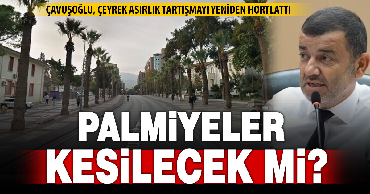 Denizli’nin simgesi palmiyeler kesilecek mi?