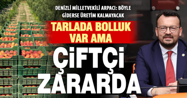Yeni Partili Arpacı: Denizli’nin meyve bahçelerinde bolluk var ama üretici kazanamıyor