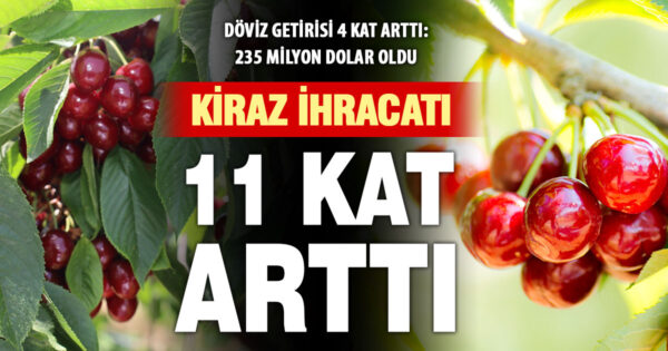 Kiraz ihracatı miktarda 11 kat, dövizde 4 kat arttı